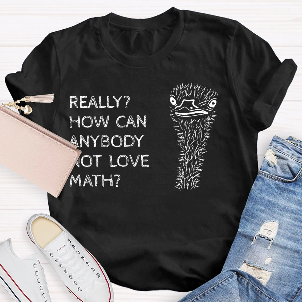 Really How Can Anybody Not Love Math T-shirt