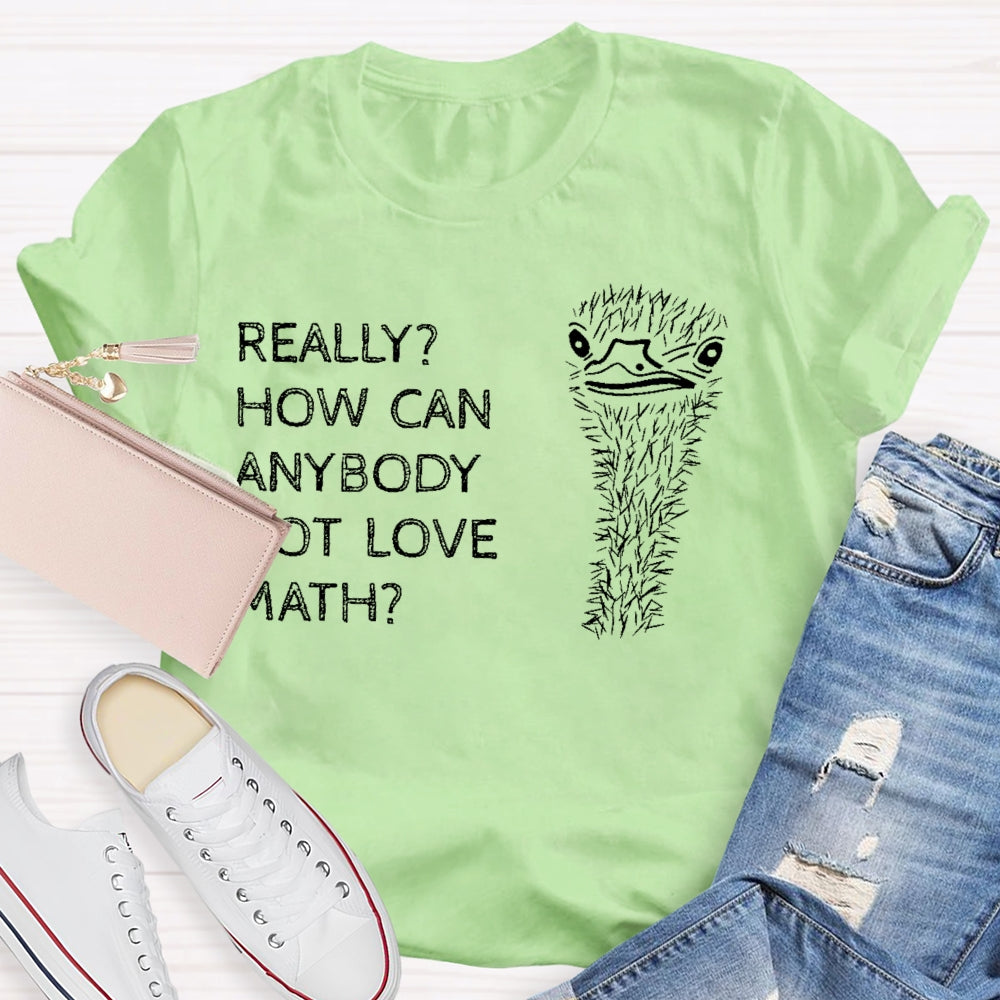 Really How Can Anybody Not Love Math T-shirt