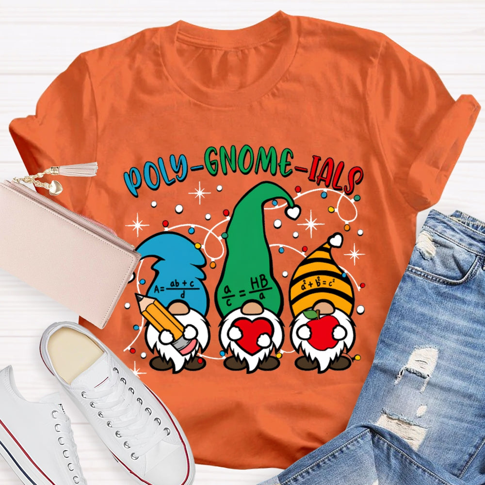 Poly Gnome Ials Christmas Gnome Math Teacher Christmas T-shirt