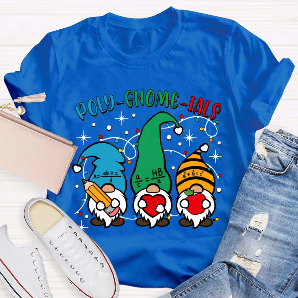 Poly Gnome Ials Christmas Gnome Math Teacher Christmas T-shirt