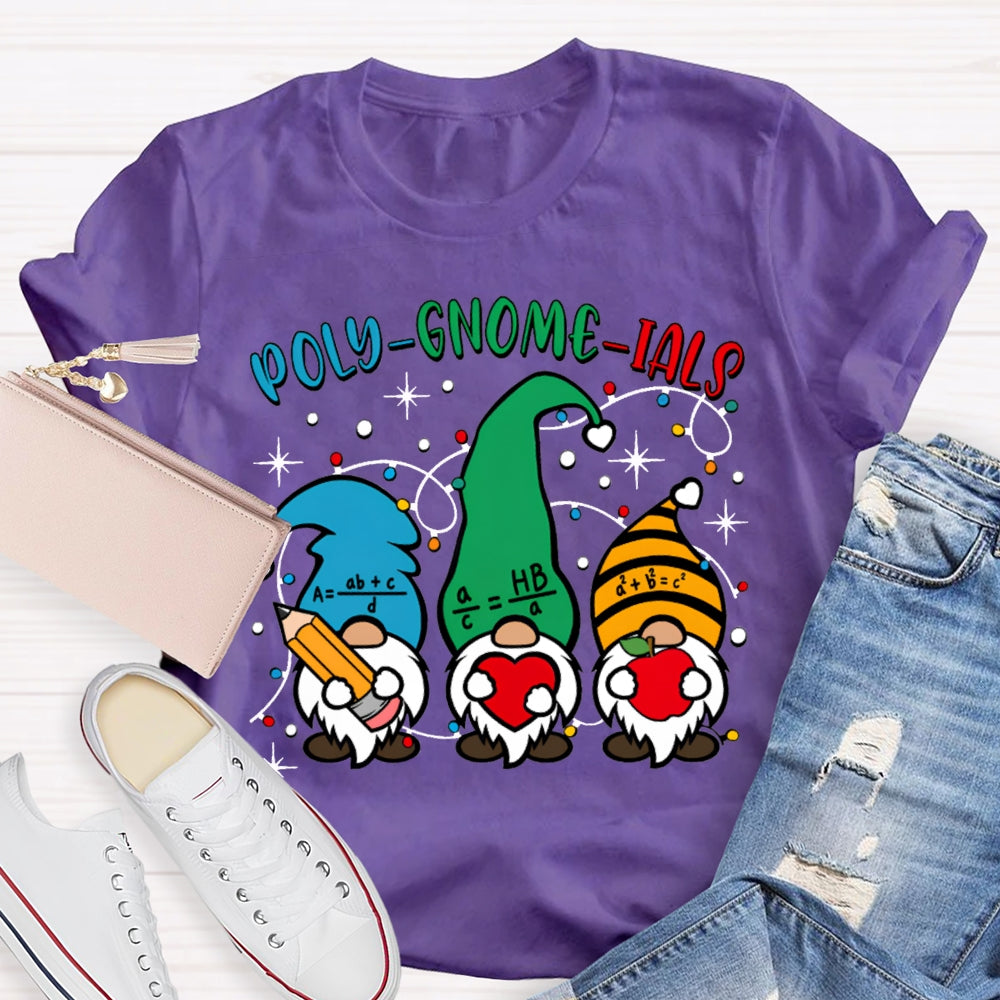 Poly Gnome Ials Christmas Gnome Math Teacher Christmas T-shirt