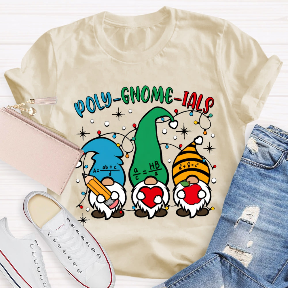 Poly Gnome Ials Christmas Gnome Math Teacher Christmas T-shirt