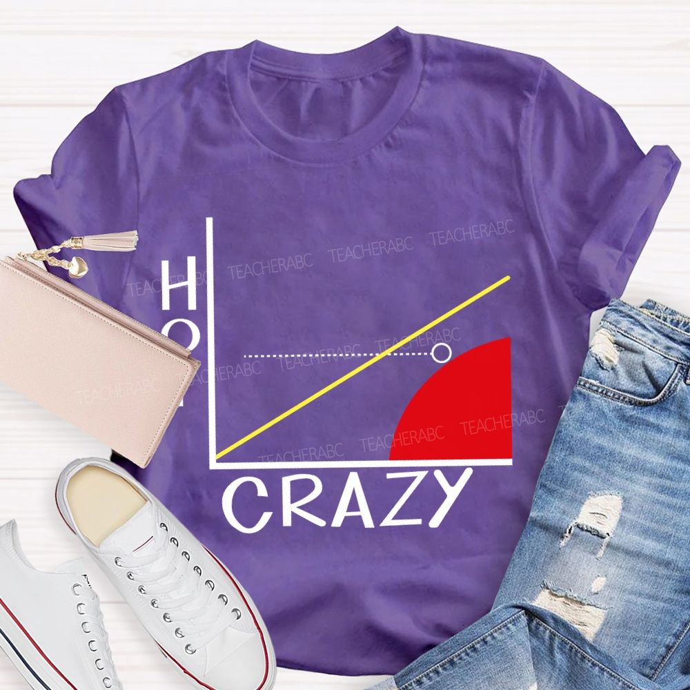 Hot Crazy Brain Math Problems Math Teacher T-shirt