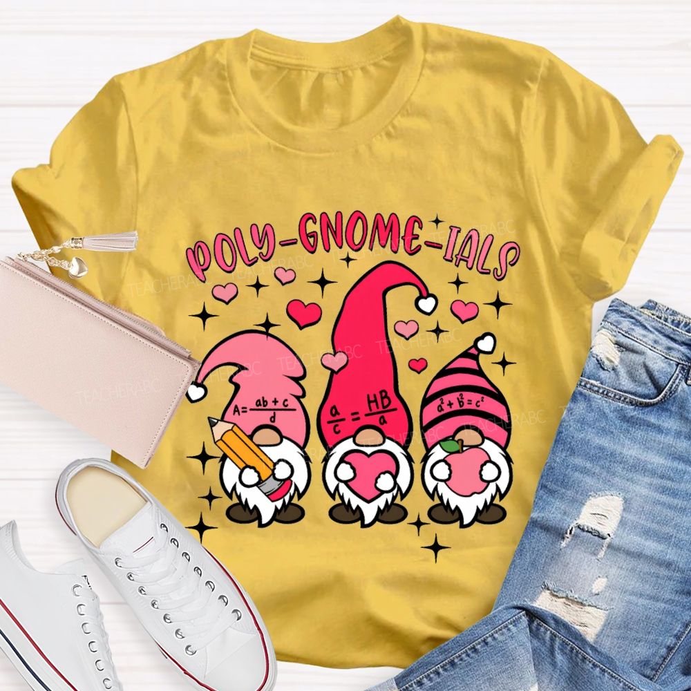 Poly Gnome Ials Mathematical Formulas The Dwarf Math Teacher T-shirt