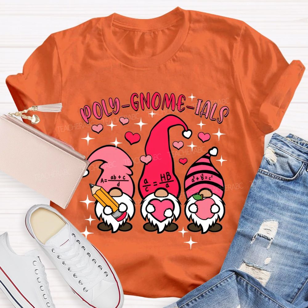 Poly Gnome Ials Mathematical Formulas The Dwarf Math Teacher T-shirt