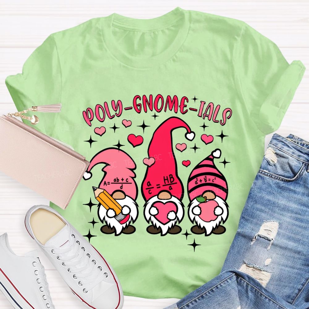 Poly Gnome Ials Mathematical Formulas The Dwarf Math Teacher T-shirt