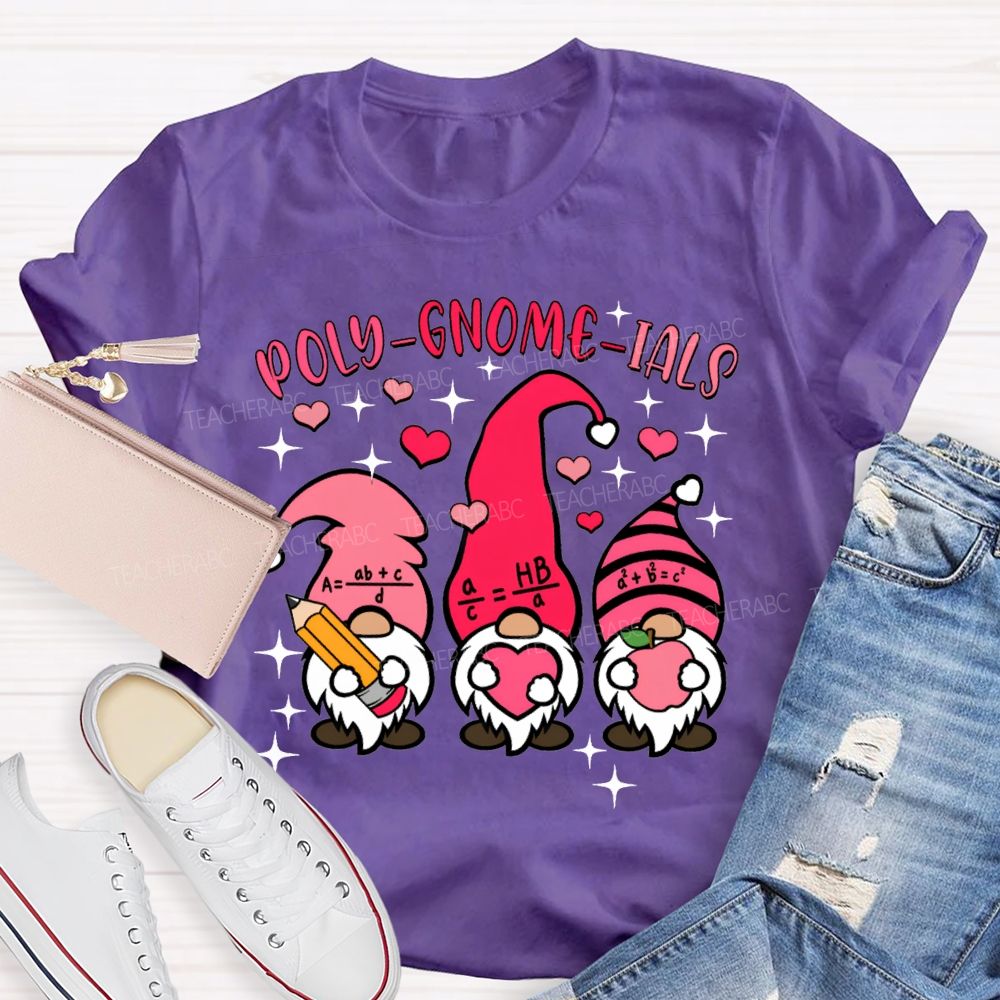 Poly Gnome Ials Mathematical Formulas The Dwarf Math Teacher T-shirt
