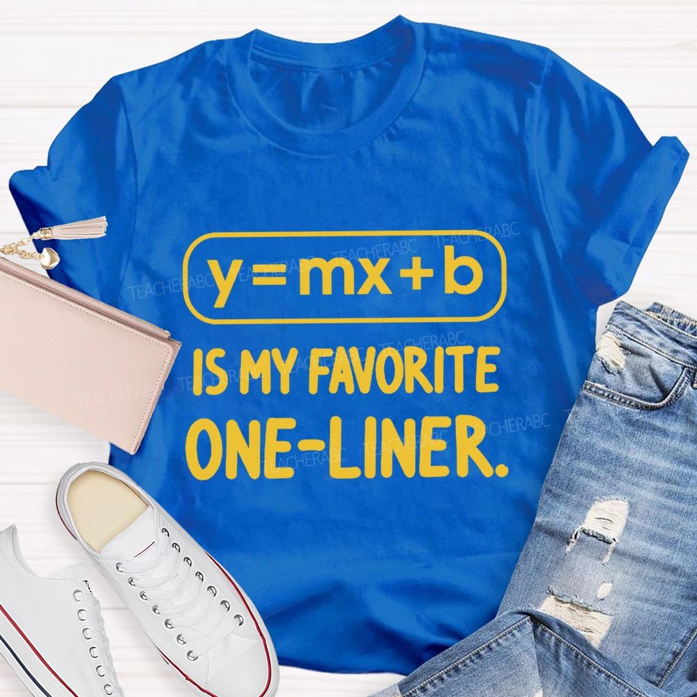 Y = X + B Is My Favorite One-Liner Math Teacher T-shirtt