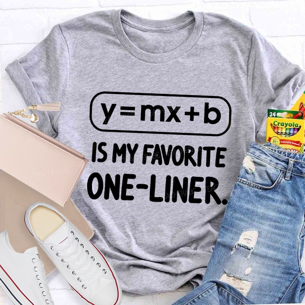 Y = X + B Is My Favorite One-Liner Math Teacher T-shirtt