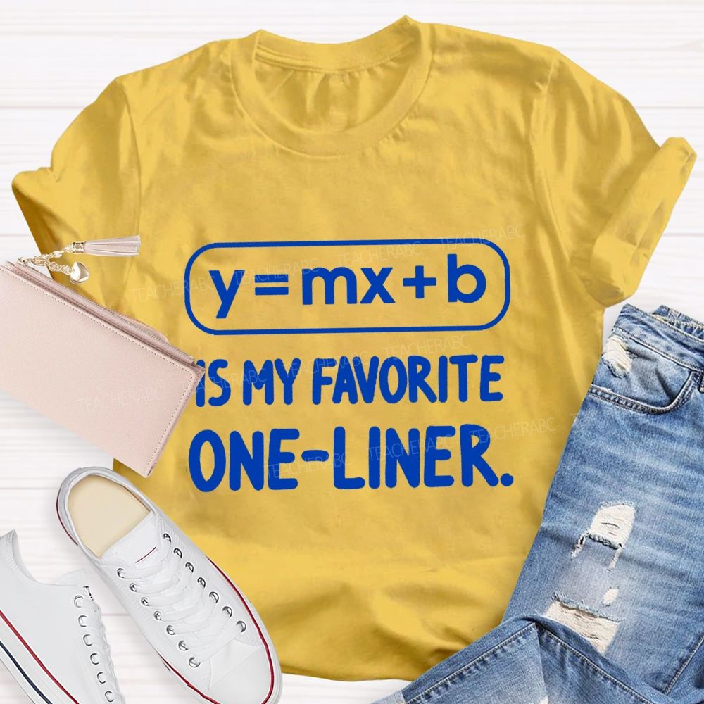 Y = X + B Is My Favorite One-Liner Math Teacher T-shirtt