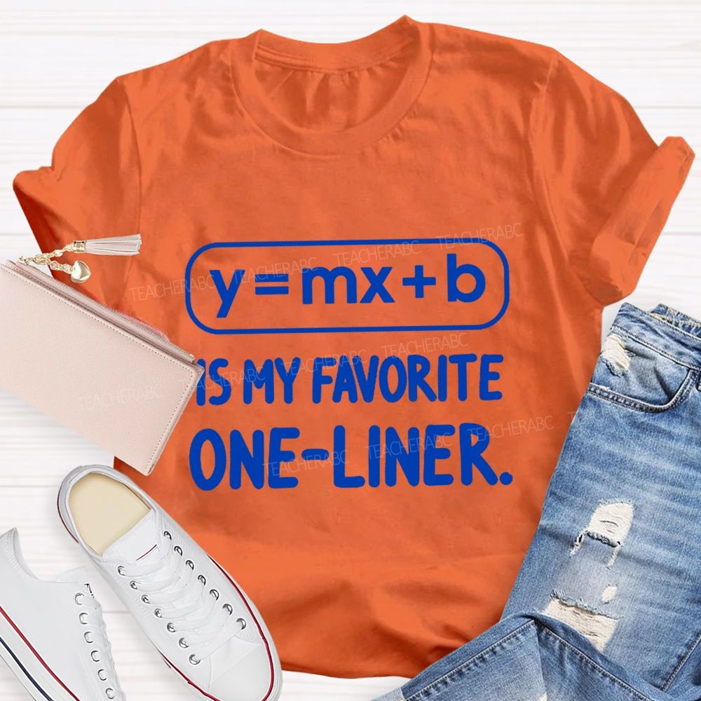 Y = X + B Is My Favorite One-Liner Math Teacher T-shirtt