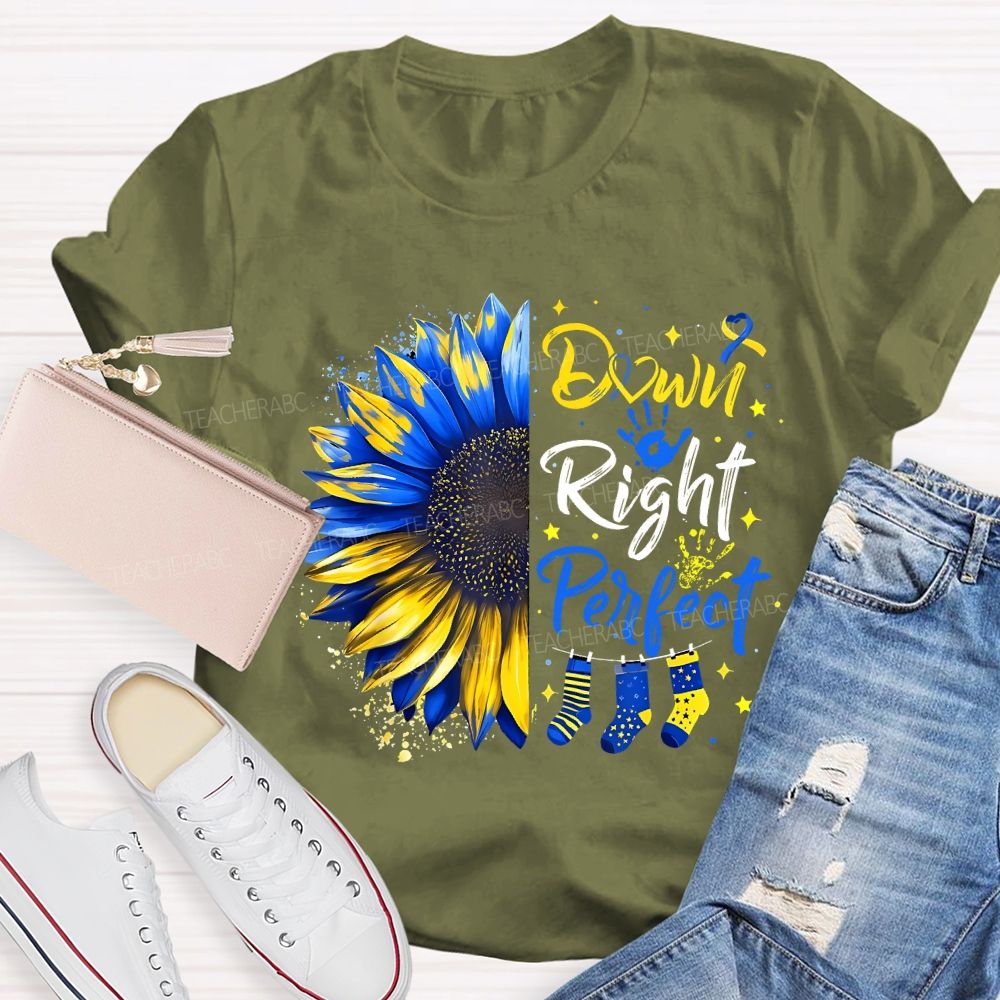 Down Right Perfect Down Syndrome Awareness Teacher T-shirt