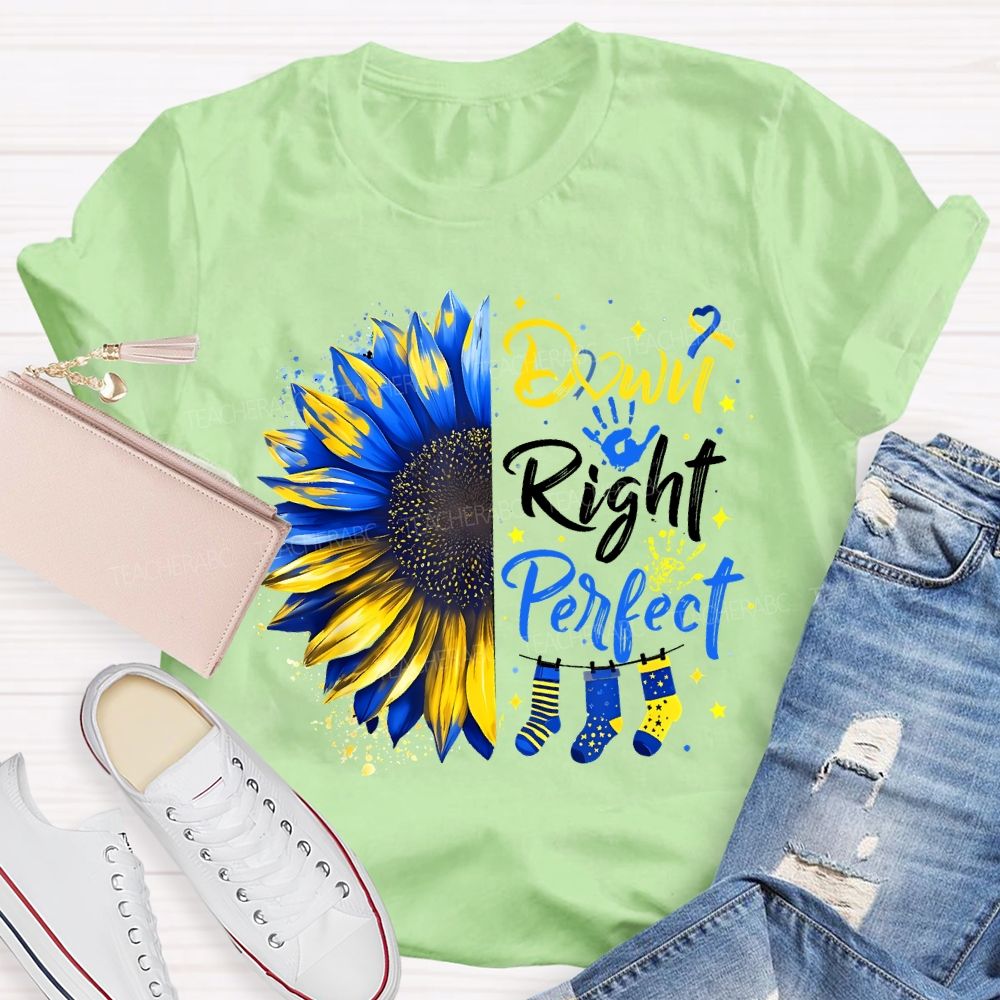 Down Right Perfect Down Syndrome Awareness Teacher T-shirt