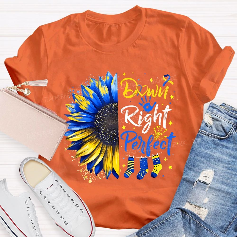 Down Right Perfect Down Syndrome Awareness Teacher T-shirt
