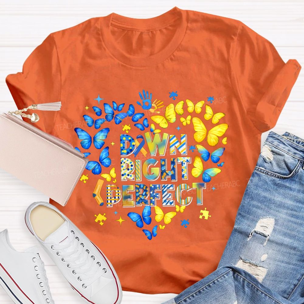 Down Right Perfect Down Syndrome Acceptance Colorful Butterflies Teacher T-shirt