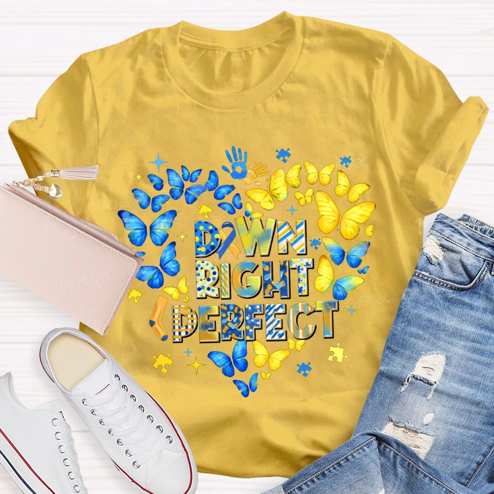 Down Right Perfect Down Syndrome Acceptance Colorful Butterflies Teacher T-shirt