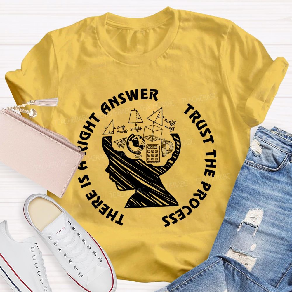 There Is A Right Answer Trust The Process Math Teacher T-Shirt