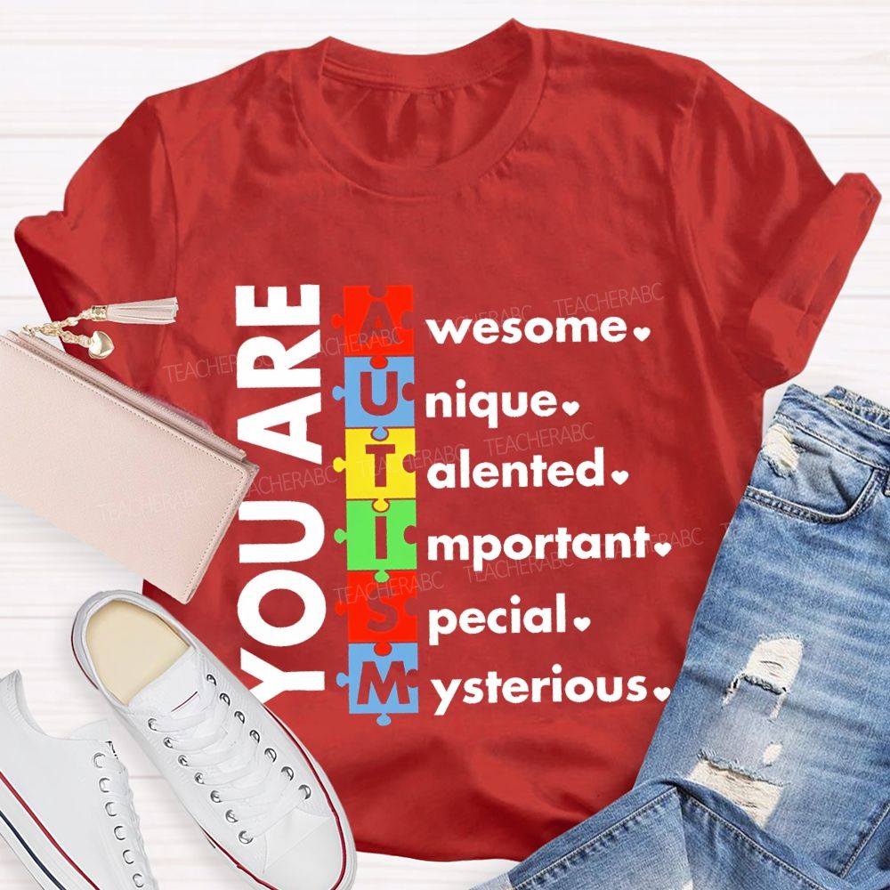 You Are Awesome Unique Talented Important Special Mysterious Teacher T-shirt