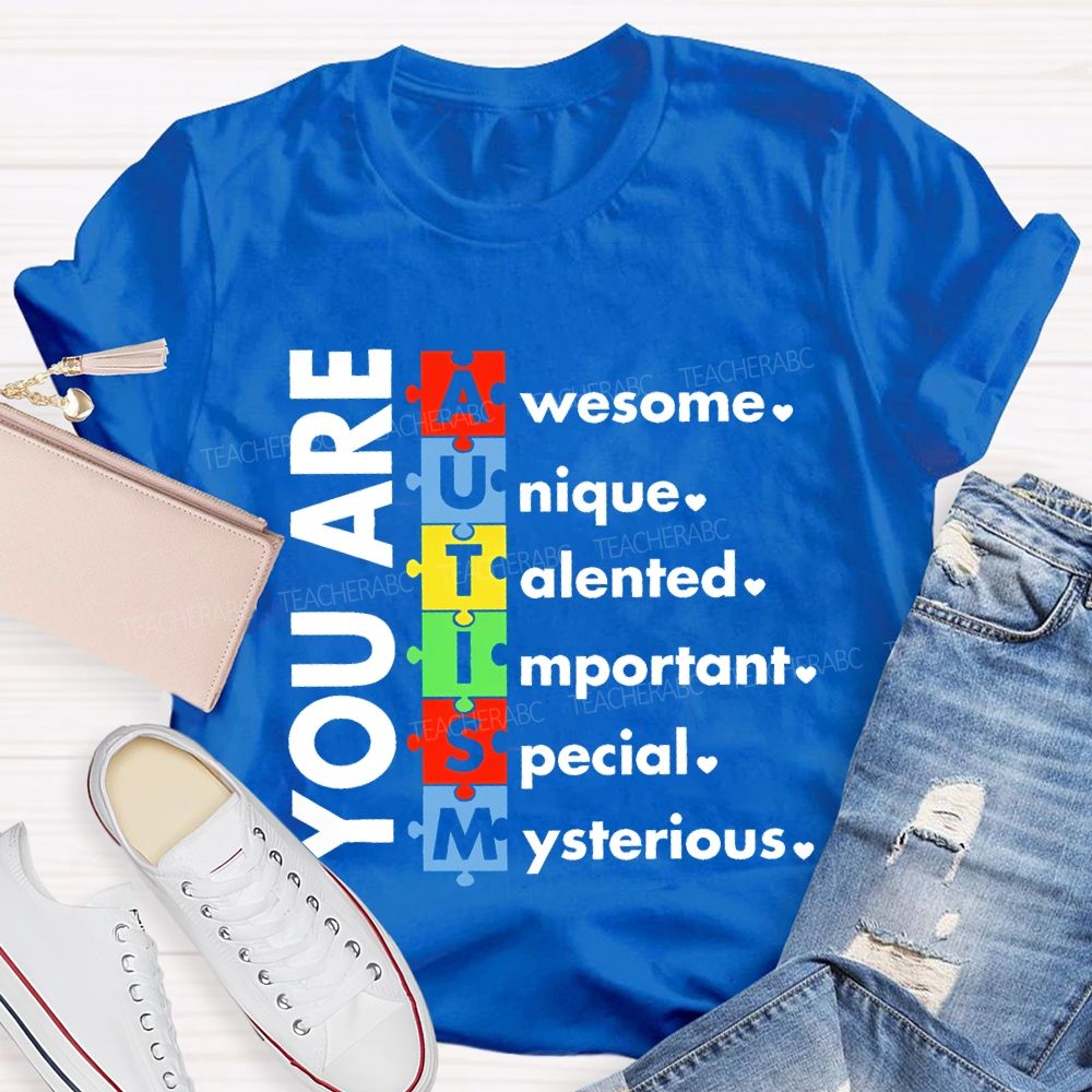 You Are Awesome Unique Talented Important Special Mysterious Teacher T-shirt