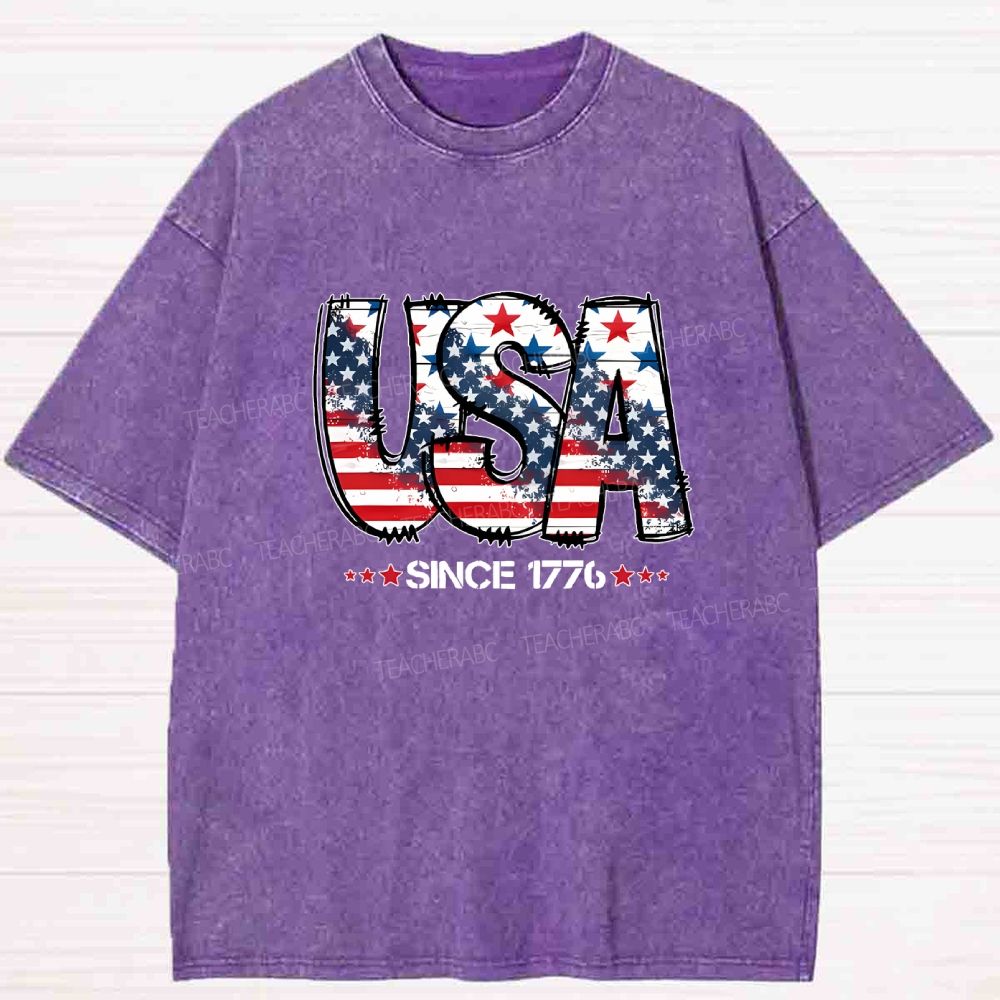 USA since 1776 Washed T-shirt