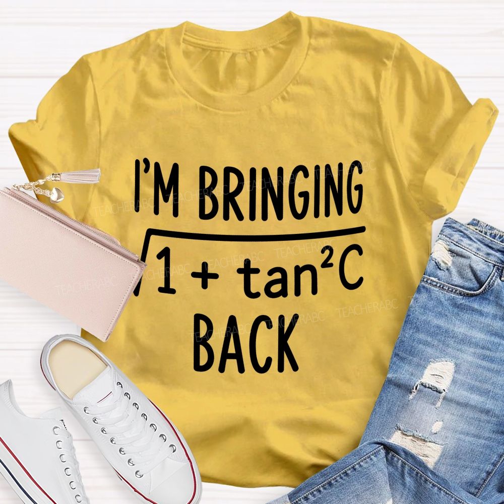 I'M Bringing Sexy Back Funny math quote Teacher T-shirt