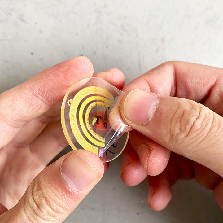 Apple Rainbow Print Keychain