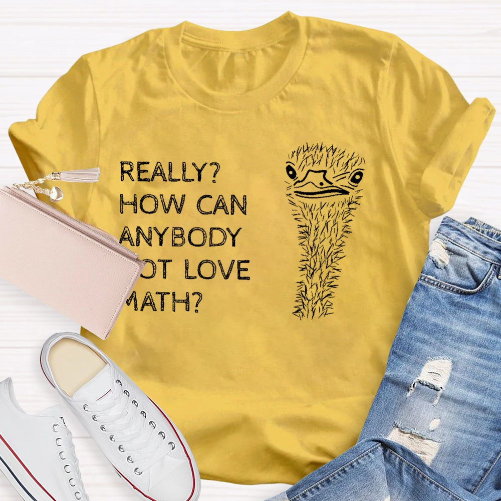Really How Can Anybody Not Love Math T-shirt