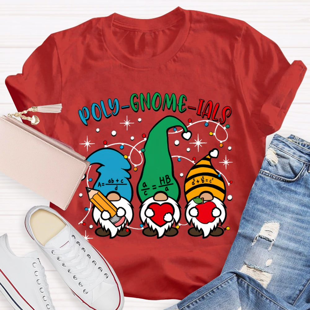 Poly Gnome Ials Christmas Gnome Math Teacher Christmas T-shirt