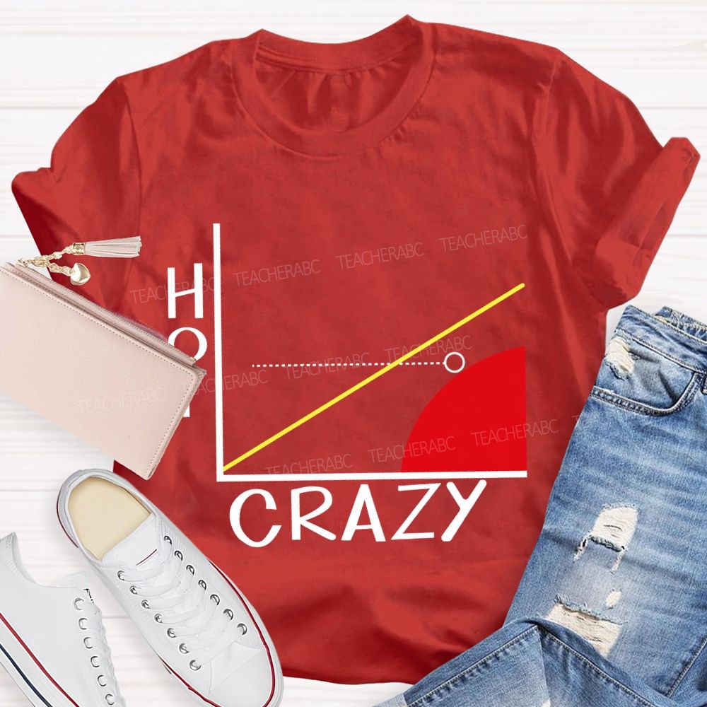 Hot Crazy Brain Math Problems Math Teacher T-shirt