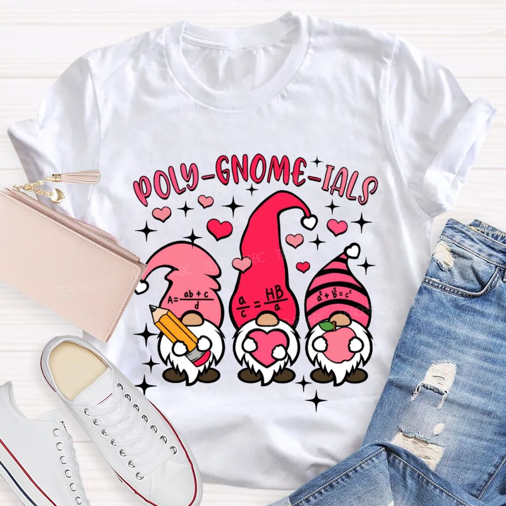 Poly Gnome Ials Mathematical Formulas The Dwarf Math Teacher T-shirt