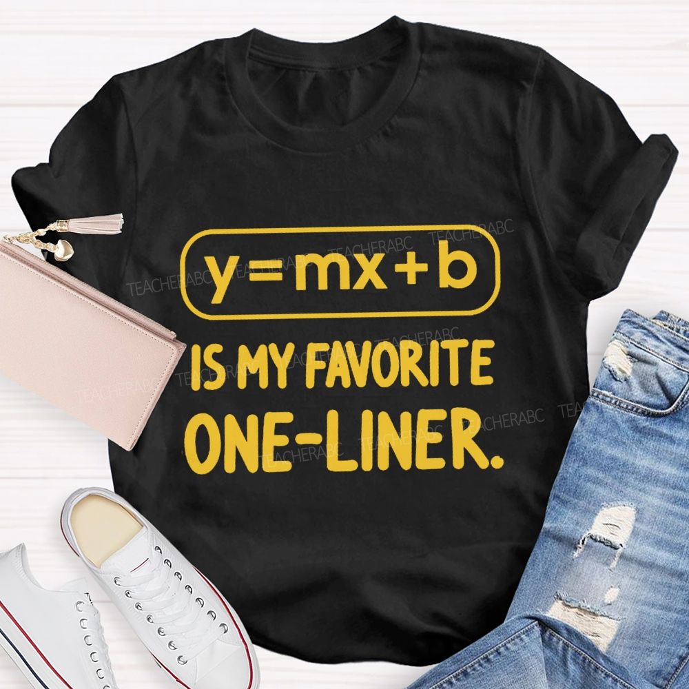 Y = X + B Is My Favorite One-Liner Math Teacher T-shirtt