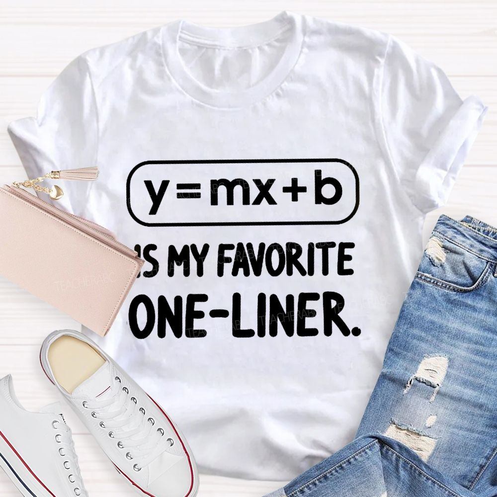 Y = X + B Is My Favorite One-Liner Math Teacher T-shirtt
