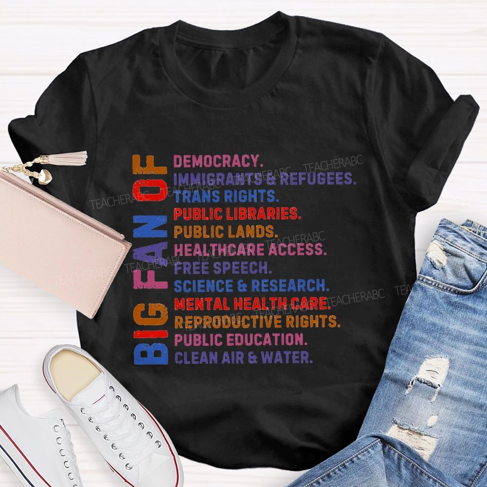 Big Fan Of Human Rights Democracy Teacher T-shirt