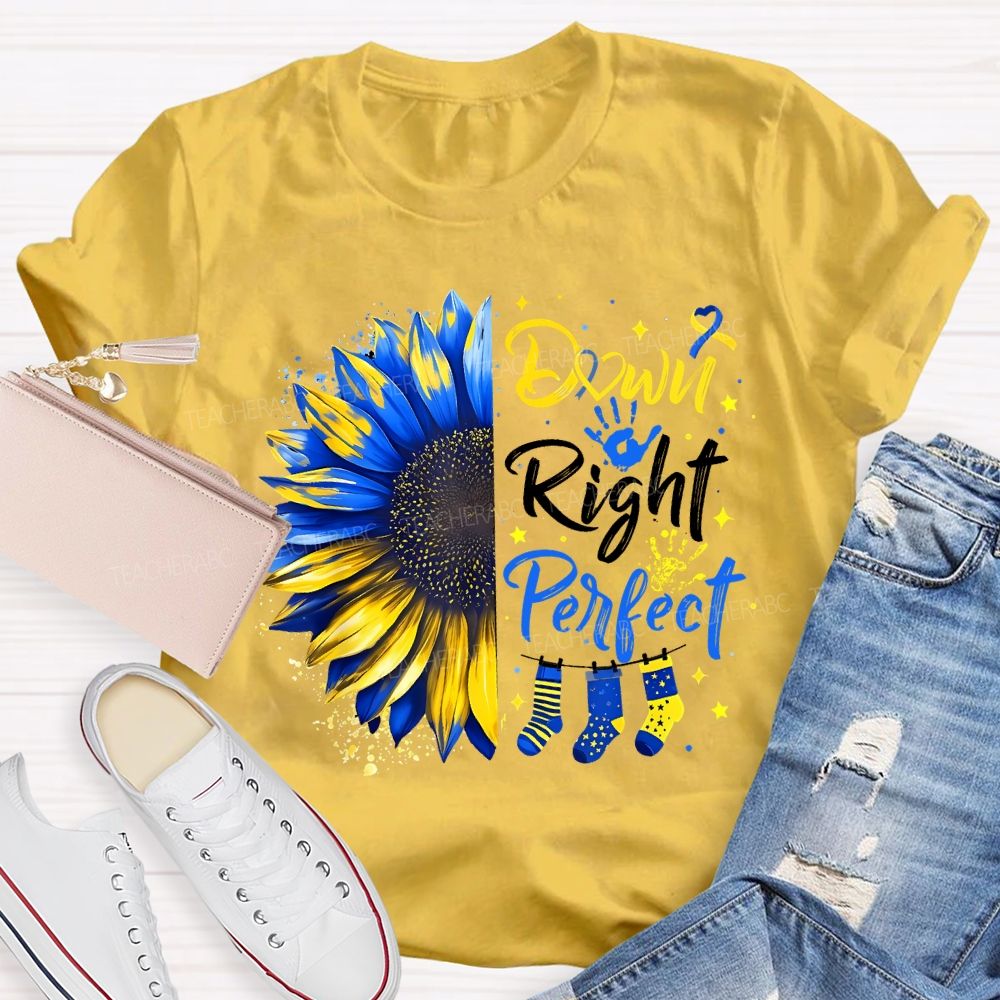 Down Right Perfect Down Syndrome Awareness Teacher T-shirt