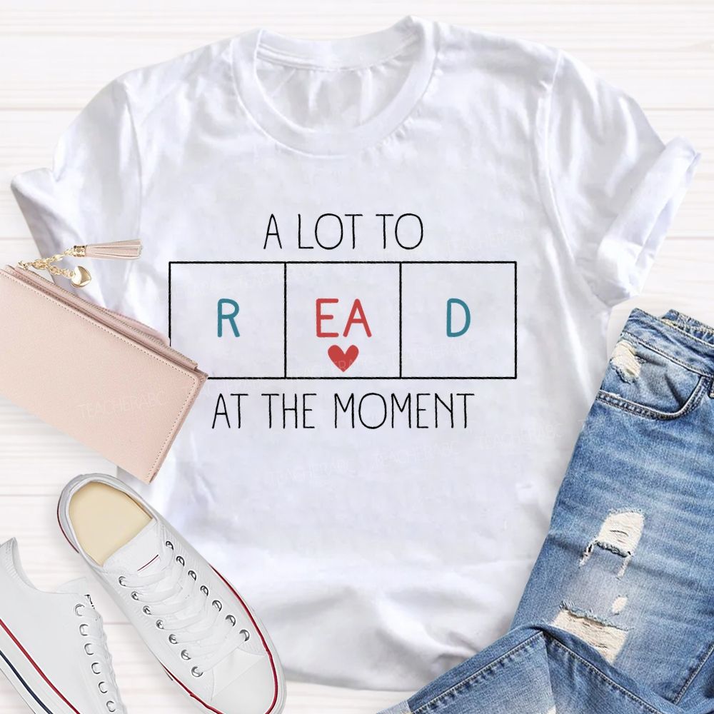 A Lot To Read At The Moment   Teacher T-shirt