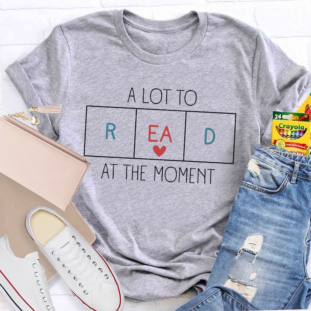 A Lot To Read At The Moment   Teacher T-shirt