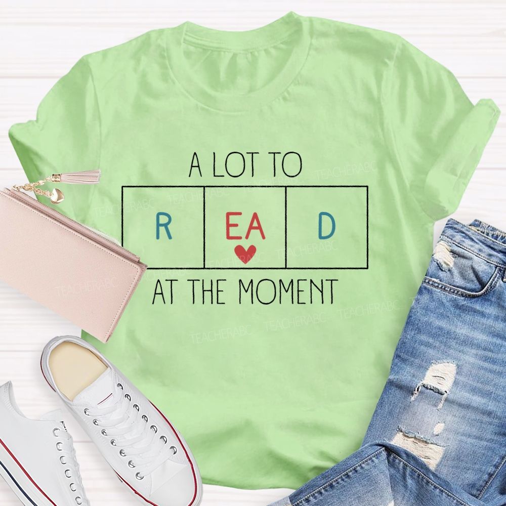 A Lot To Read At The Moment   Teacher T-shirt