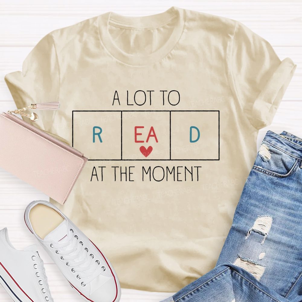 A Lot To Read At The Moment   Teacher T-shirt