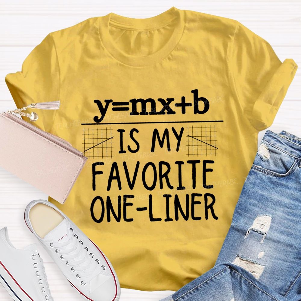 Y = MX + B Is My Favorite One-Liner Teacher T-shirt