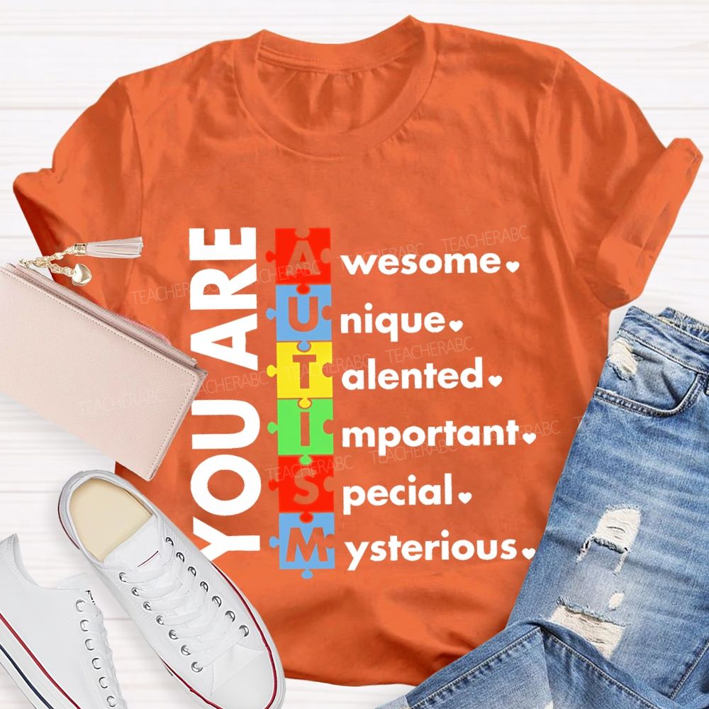 You Are Awesome Unique Talented  Important  Special  Mysterious  Teacher T-shirt