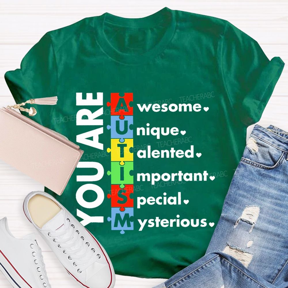 You Are Awesome Unique Talented  Important  Special  Mysterious  Teacher T-shirt