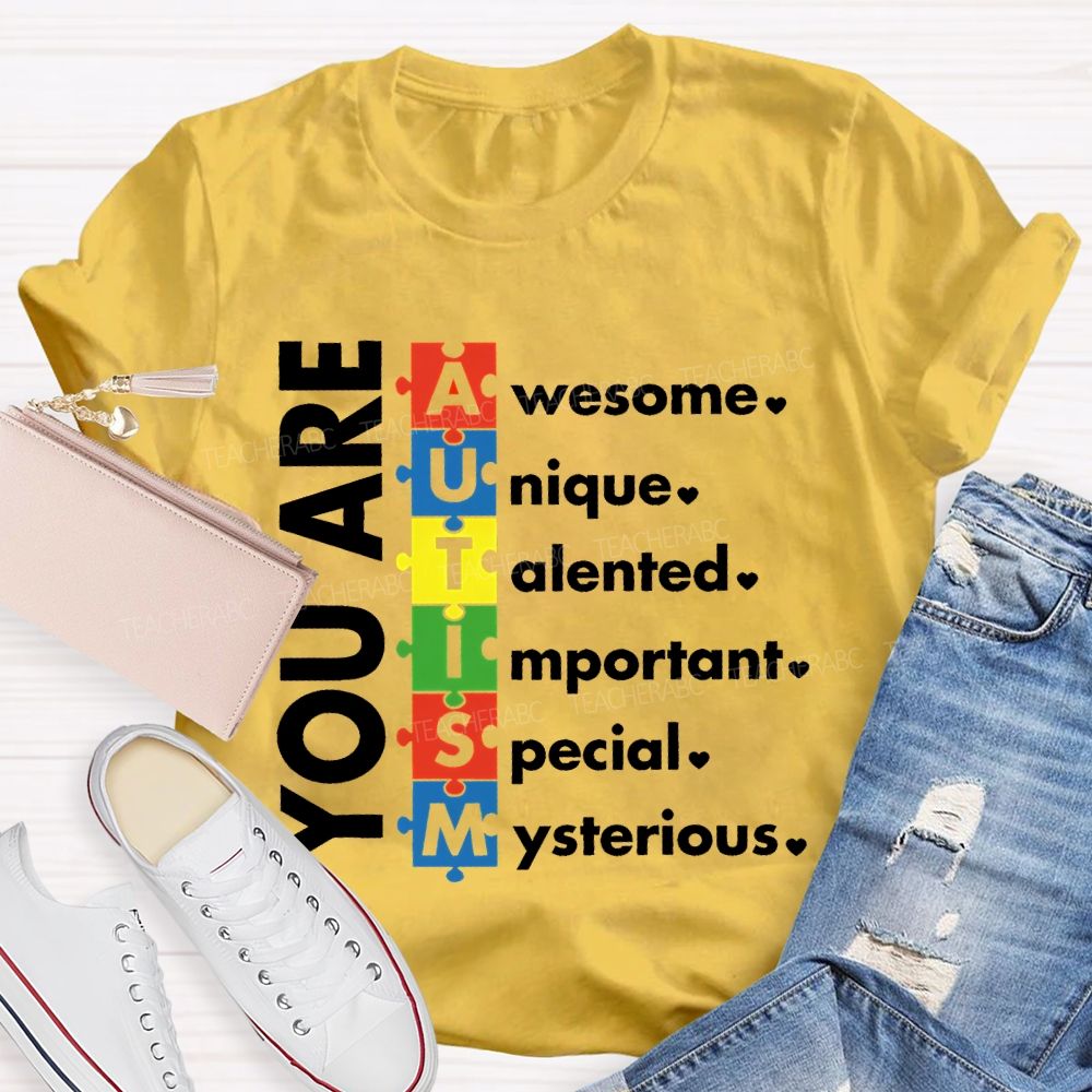 You Are Awesome Unique Talented  Important  Special  Mysterious  Teacher T-shirt