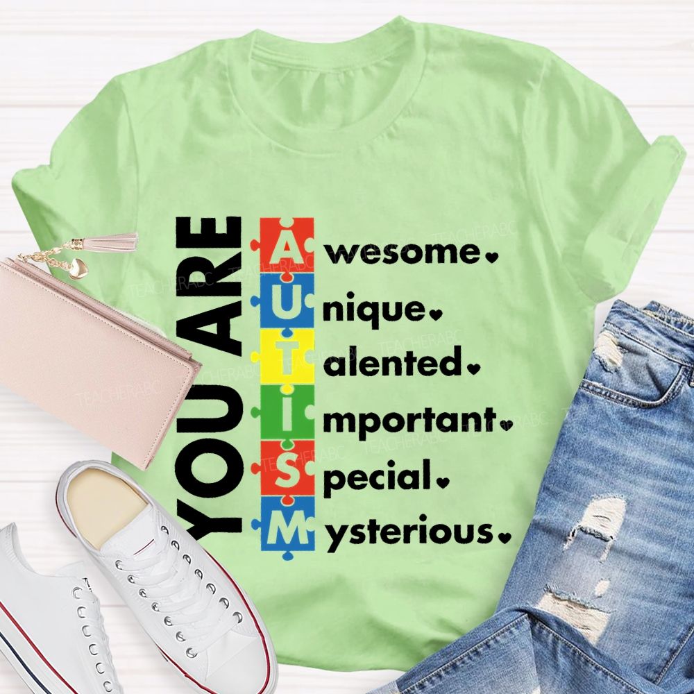 You Are Awesome Unique Talented  Important  Special  Mysterious  Teacher T-shirt
