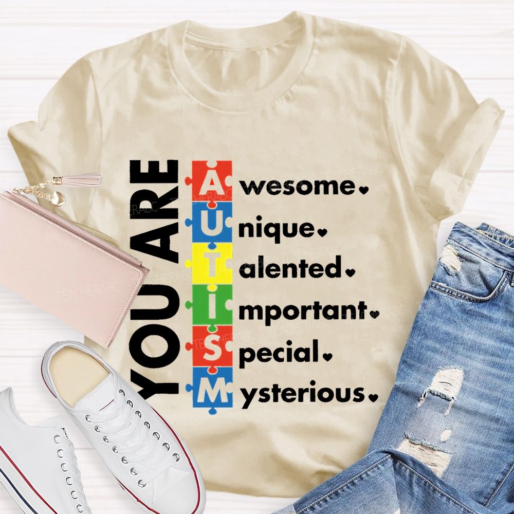 You Are Awesome Unique Talented  Important  Special  Mysterious  Teacher T-shirt