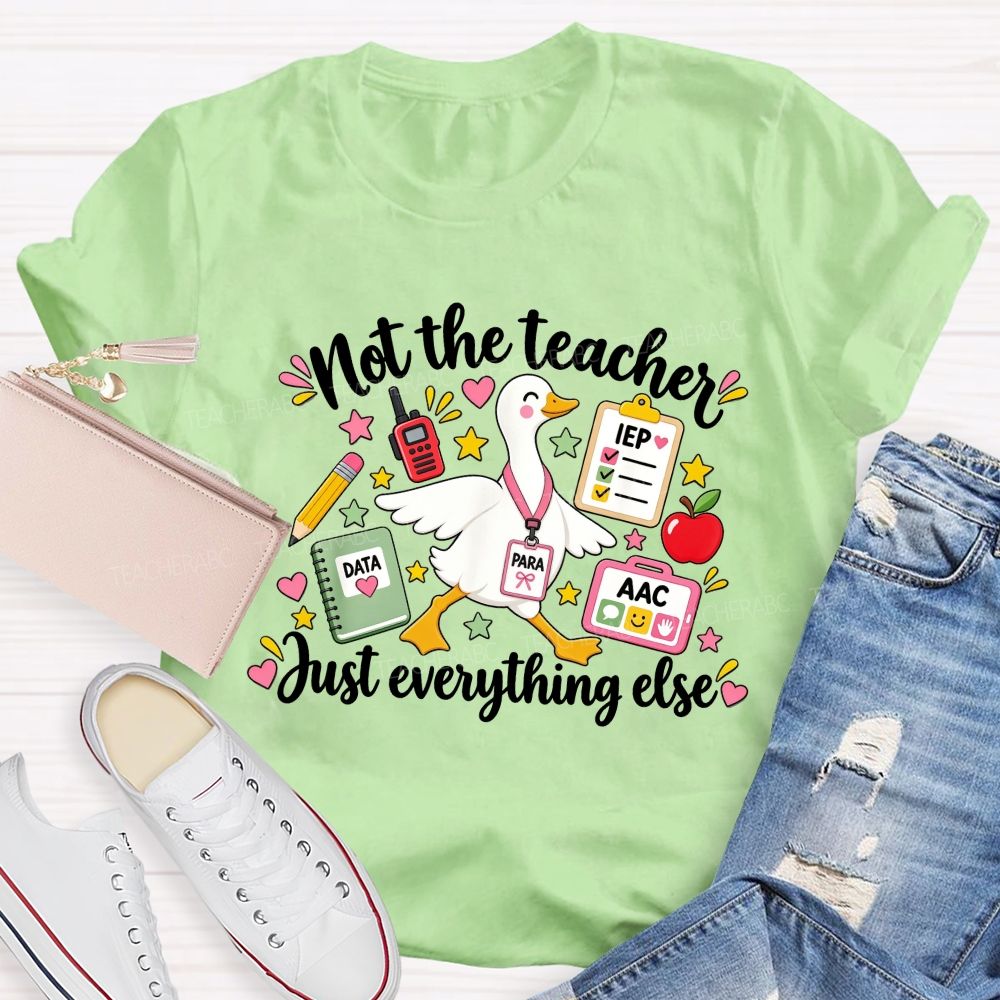 Not The Teacher Just Everything Else Paraprofessional Teacher T-shirt